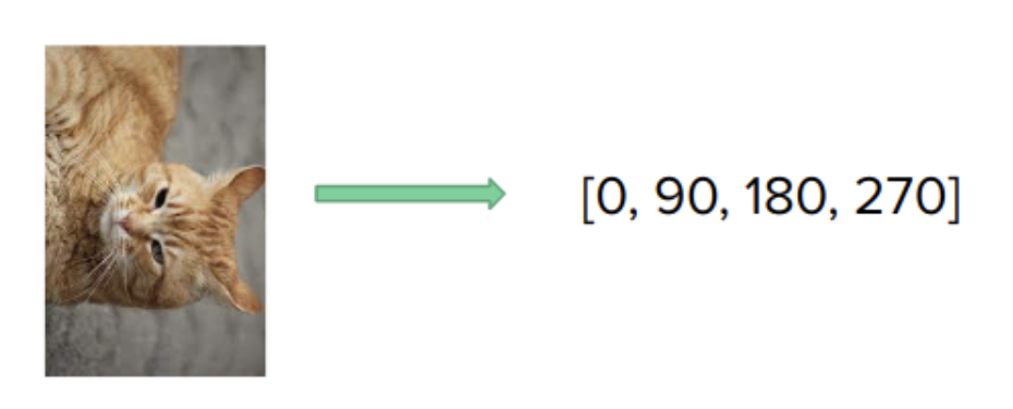 Rotation prediction pretext task