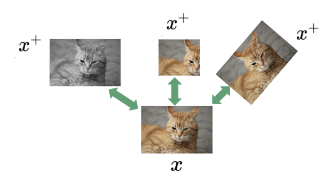 Non-contrastive learning setting