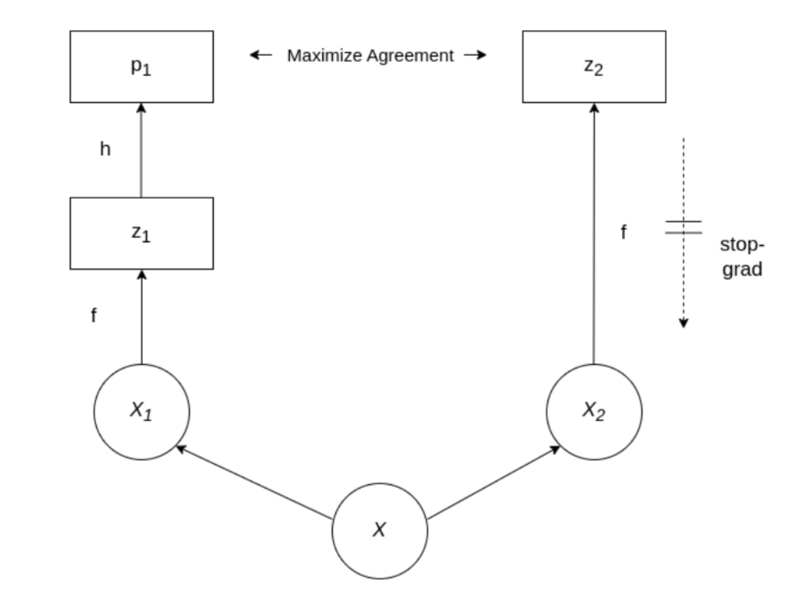 SimSiam architecture